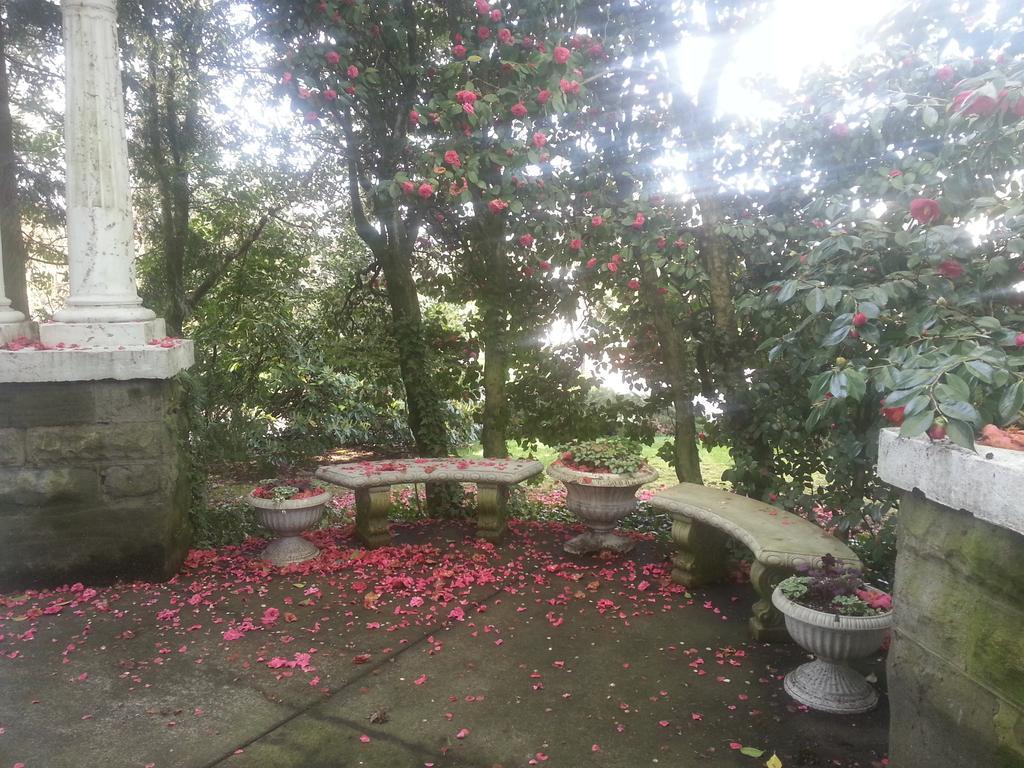 Evermore Guesthouse Portland Extérieur photo